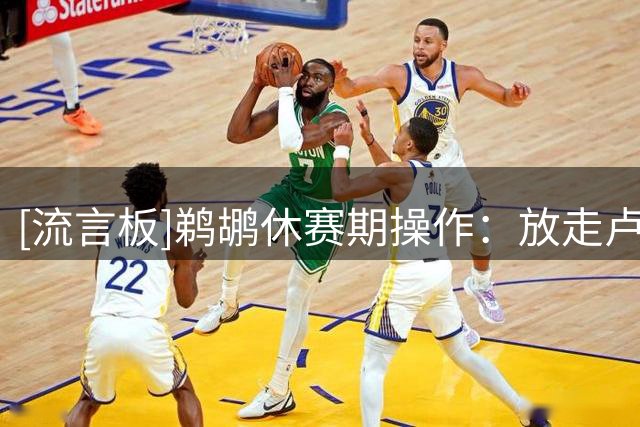 [流言板]鹈鹕休赛期操作：放走卢尼，续约小乔丹、签约科比-巴夫金